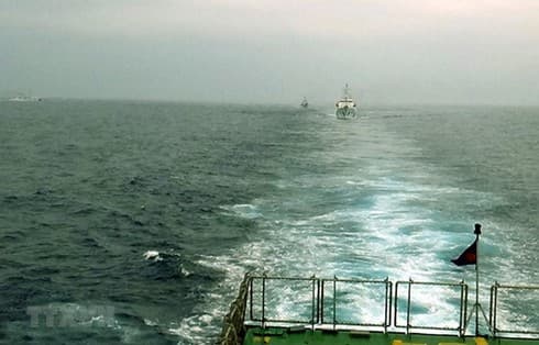 Vietnam – China fisheries inspection trip arrives at success
