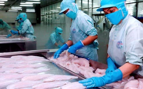 Businesses urged to register REX code to enjoy preferential EU tariffs