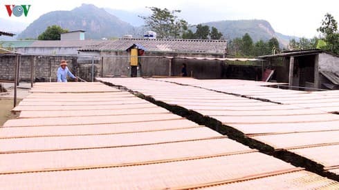 Binh Lu – role model vermicelli village in the northwest