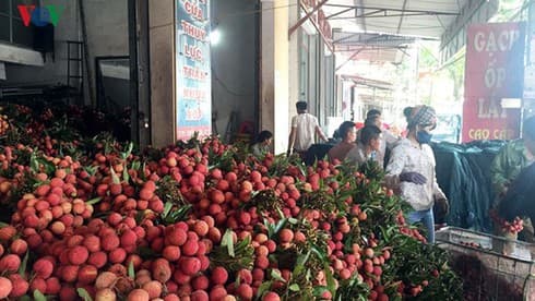 Export of fresh lychees to Japan faces hurdles in face of COVID-19