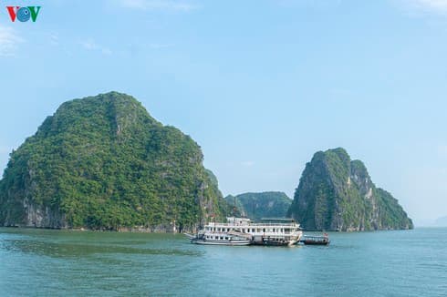 Travel firms to stimulate post-coronavirus market demand