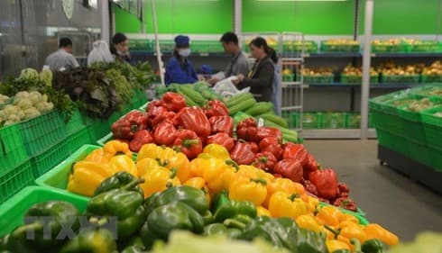 Fruit, vegetable exports up 7.9% in April