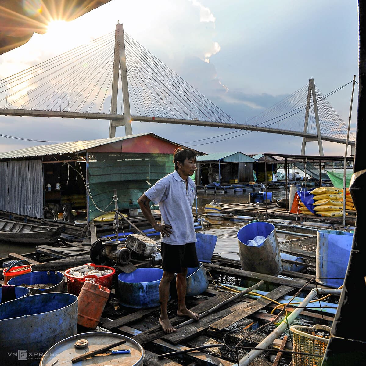 Mekong Delta fishers in distress as fish die en masse