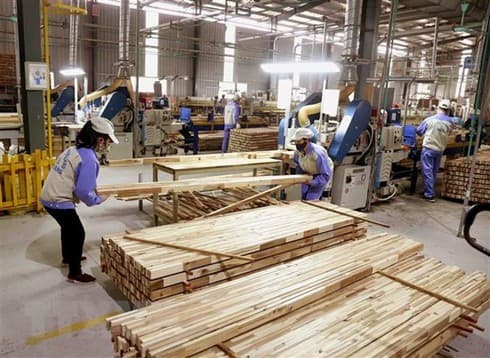 Four major measures to boost wood exports