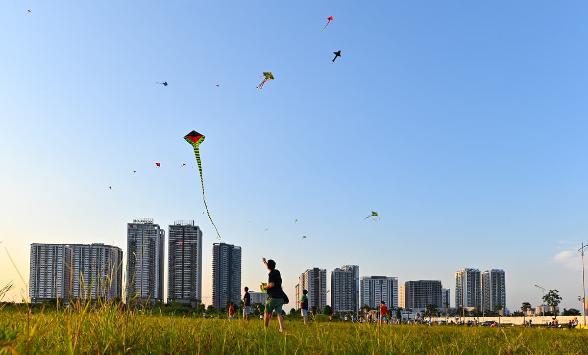 Kites fly high as Hanoi unwinds amidst Covid-19 respite