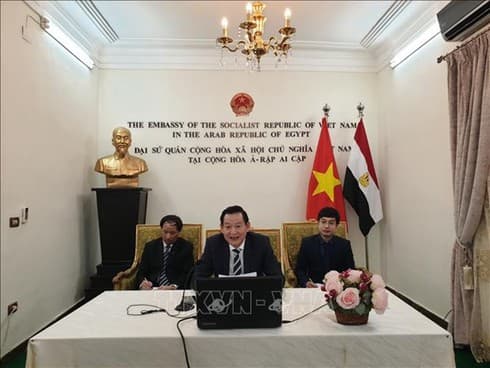 Webinar on President Ho Chi Minh held in Egypt