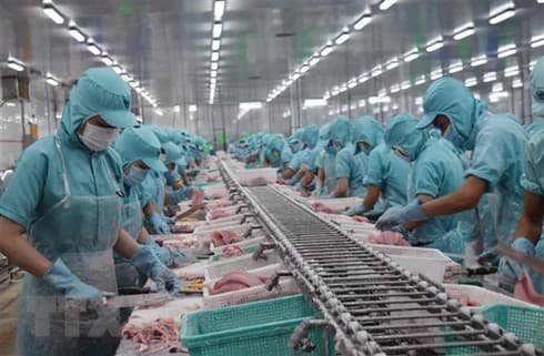 Japanese daily: EVFTA to lift Vietnam’s post-pandemic growth