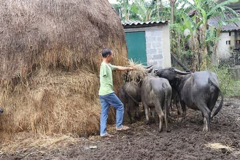 UXO survivors in Quang Binh, Binh Dinh get support to respond to COVID-19