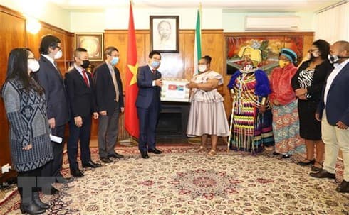 Vietnam presents gift to South Africa to fight COVID-19