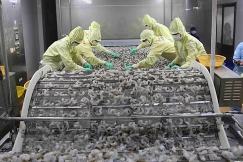 Five-month agro-forestry-fishery trade surplus nearly 3.3bn USD