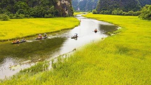 International tourists down nearly 50 %