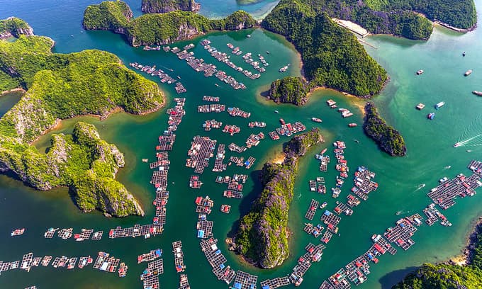 Protect pristine beauty of Lan Ha Bay: Hollywood hero DiCaprio