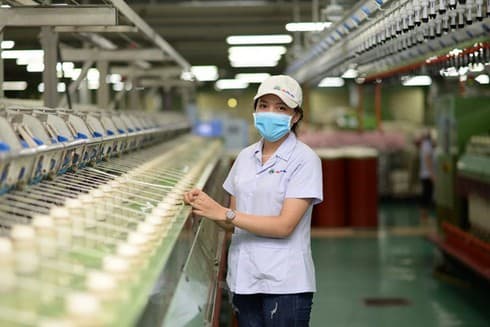 Measures sought to help SMEs optimise EVFTA