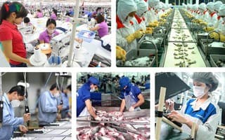 EVFTA presents opportunities and challenges for local agricultural products