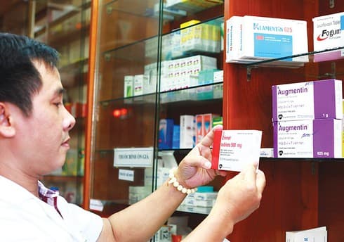 EVFTA widens varied procurement chances