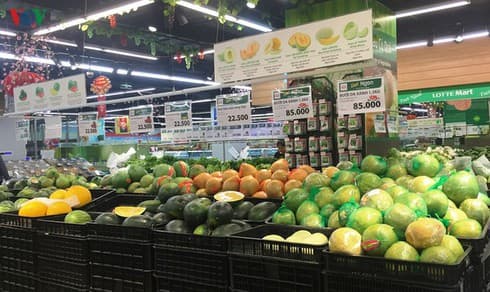 Fruit exports to EU urged to obey origin traceability rules