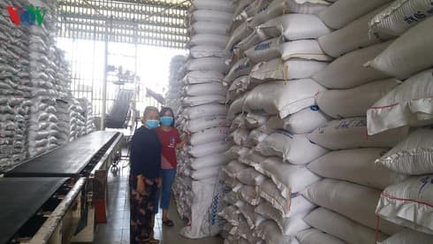 Rice export price begins to decline following record high