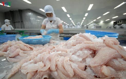 Trade promotion helps boost pangasius consumption