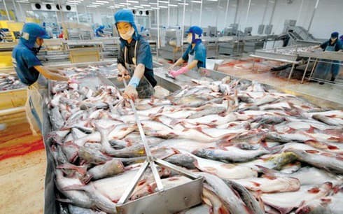 Tra fish exports to EU see a sharp fall due to COVID-19