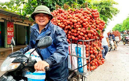 China likely to increase Vietnamese lychee imports