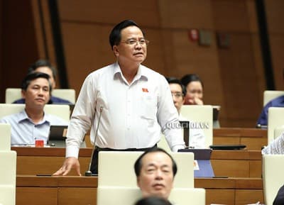 Revised Law on Enterprises gets NA approval