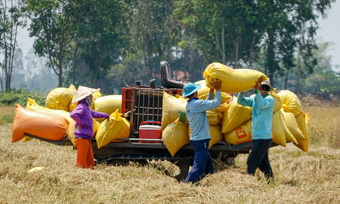 Vietnam poised for highest GDP growth in Southeast Asia