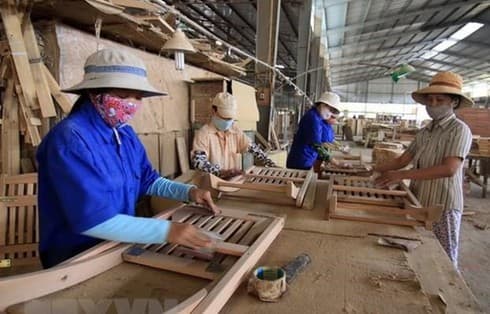 Wood and forestry exports plunge in second quarter