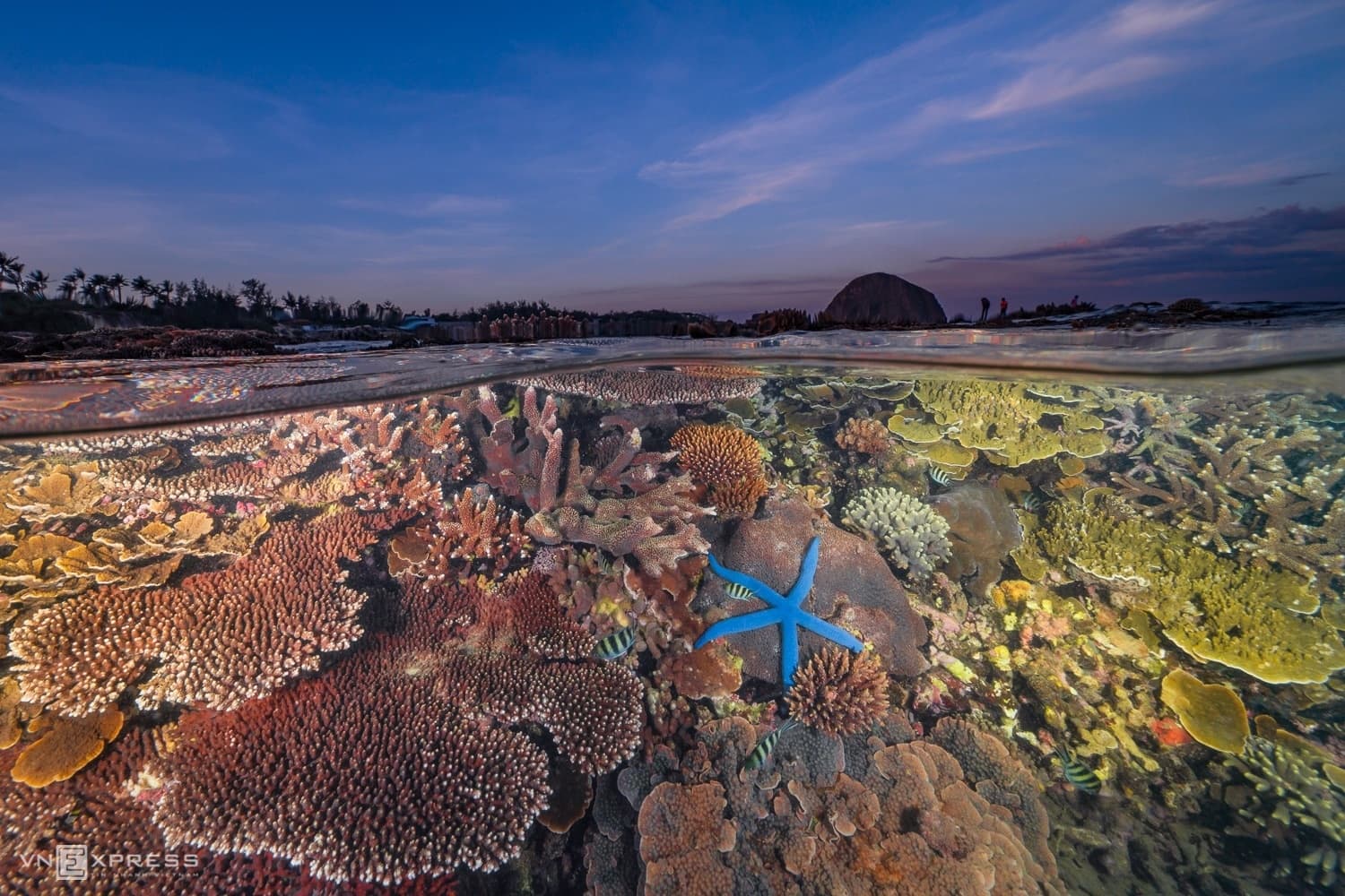 Oceanic hues permeate work of Saigon photographer
