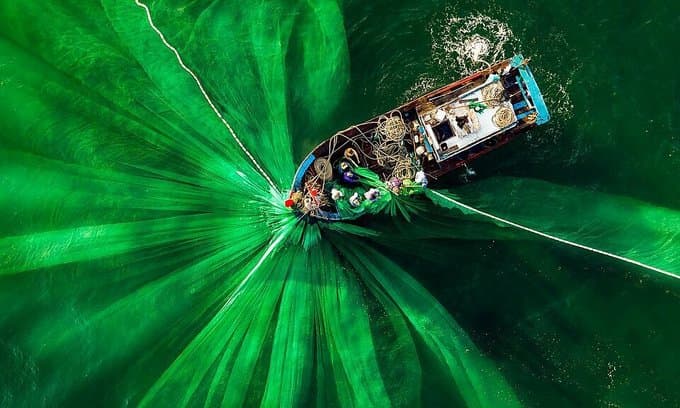 Anchovy fishing shot nets a top 50 Agora listing