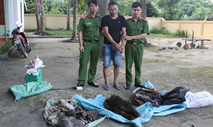 Man caught transporting rare wild animal carcasses