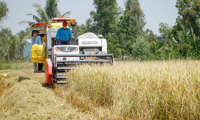 Exporters fear coronavirus will cause more pain