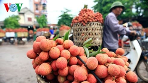 Fruit, vegetable exports enjoy swift recovery after COVID-19 downturn