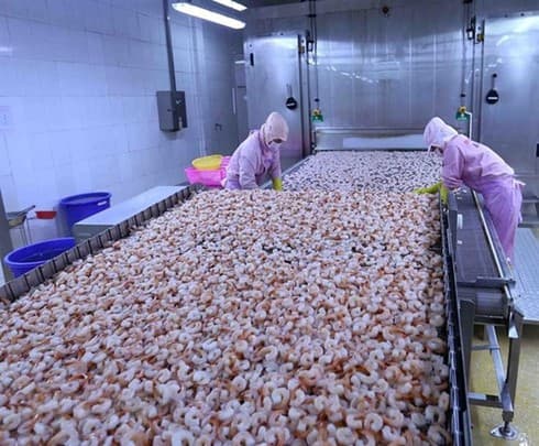 Legal framework being improved to implement EVFTA