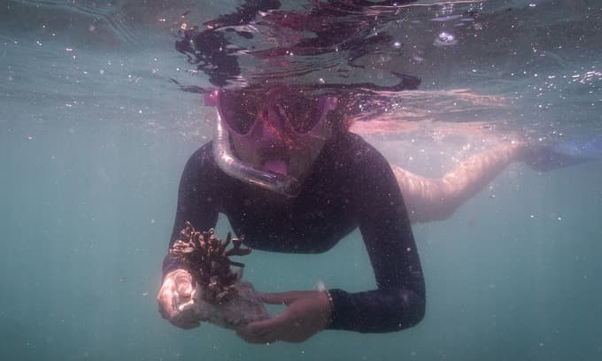 Vietnamese volunteers corral efforts to save corals