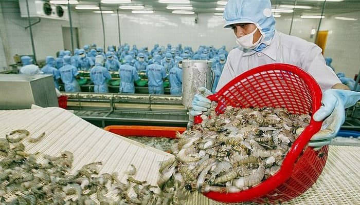 Aquatic exports shrink due to COVID-19 pandemi