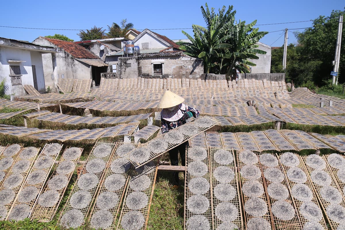 Rice paper making under scorching central Vietnam sun