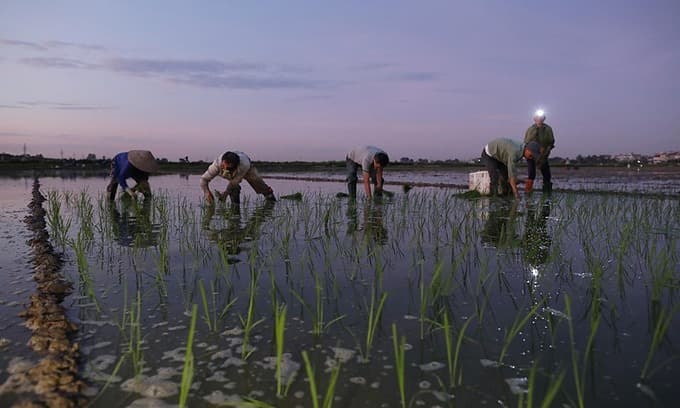 Northern Vietnam suffers longest heat wave in 49 years