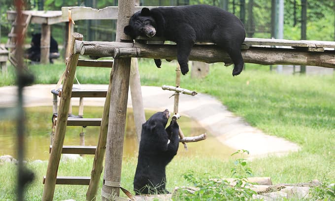 Vietnam calls halt to wildlife imports, illegal markets