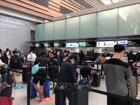 Hundreds of Vietnamese citizens repatriated from US, Japan