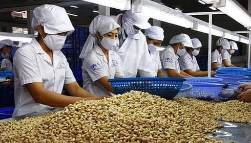 Key Vietnamese products to enjoy EVFTA benefits from August 1