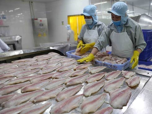 Portal helps Mekong Delta firms get insights into EVFTA