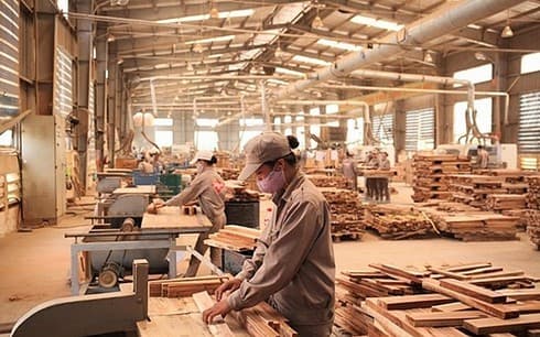 Wood exports to EU anticipated to make breakthroughs