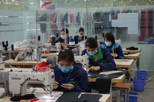 Enforcing intellectual property rights in EVFTA