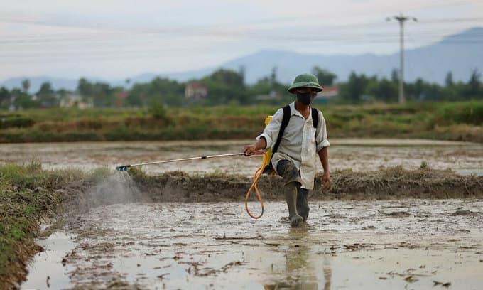 Pesticide producers’ profits plummet as Covid-19 hits farming