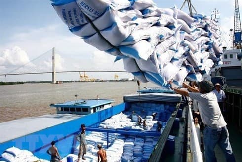 Russia remains potential market for Vietnamese farm produce