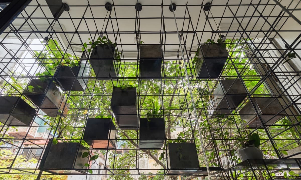 Hanging gardens' add lush appeal to Vietnamese homes