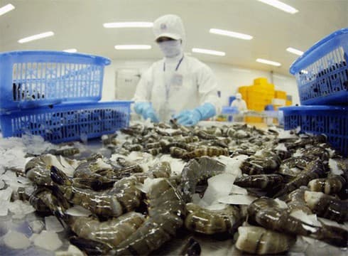 RoK increases import of Vietnam’s shrimps