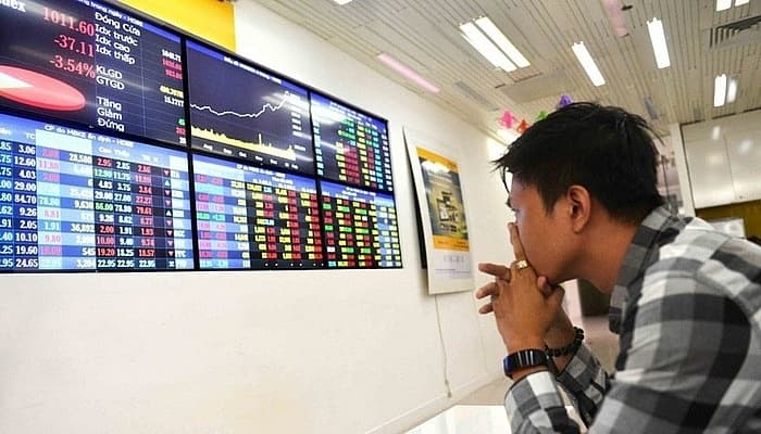 Ministry of Finance to discipline representatives of equitized State-owned enterprisesthat have not listed