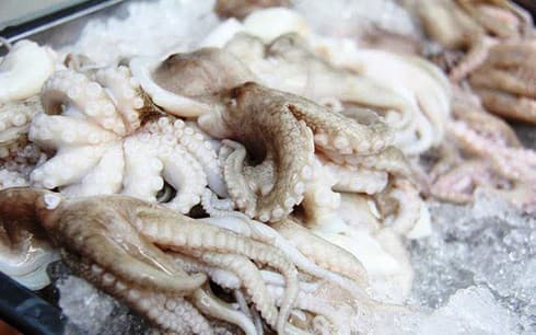 Upturn seen in Vietnamese squid and octopus exports to China