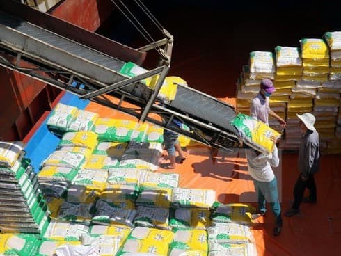 Vietnam’s trade revenue estimated to exceed US$336.2 billion in 8 months